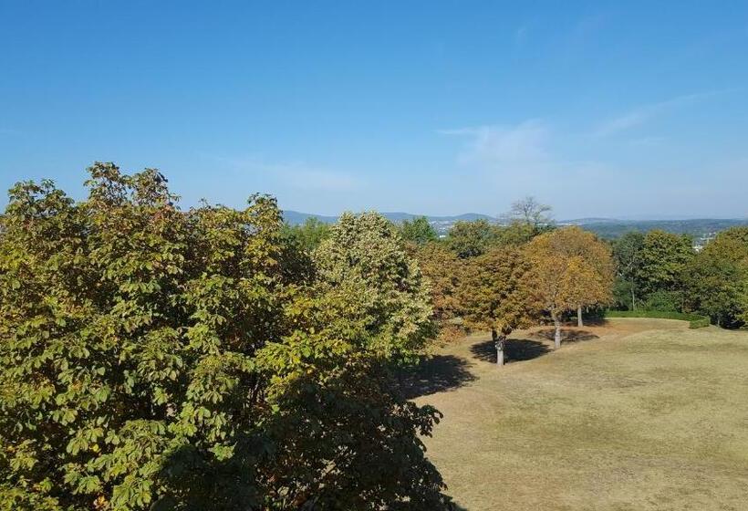 חדר סטנדרט לשלושה, Domaine Lyon Saint Joseph