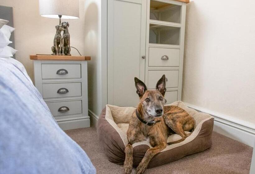 스탠다드 룸 킹사이즈 침대, Harts Head