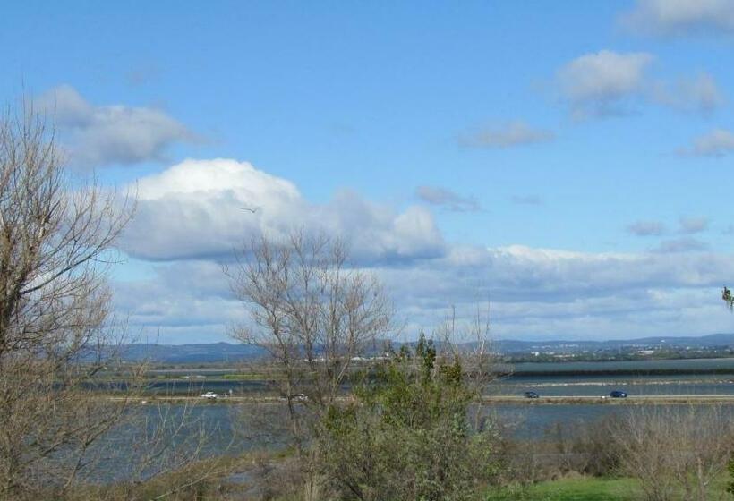 غرفة قياسية, Hôtel Du Midi Plage