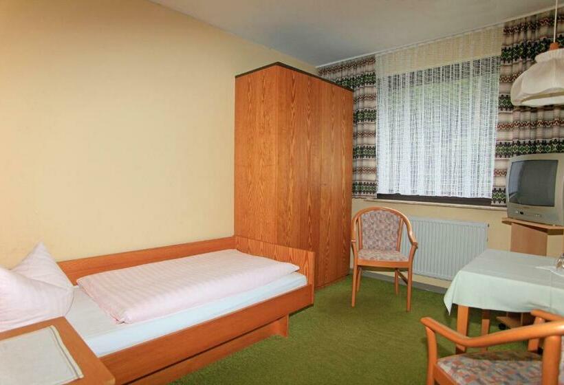 스탠다드 싱글 룸, Waldhotel Achtermannstor