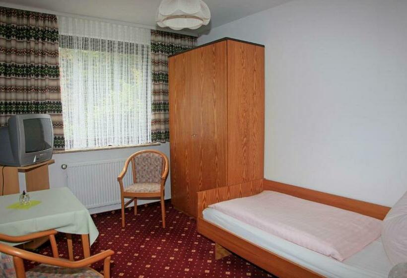 발코니 스탠다드 싱글 룸, Waldhotel Achtermannstor