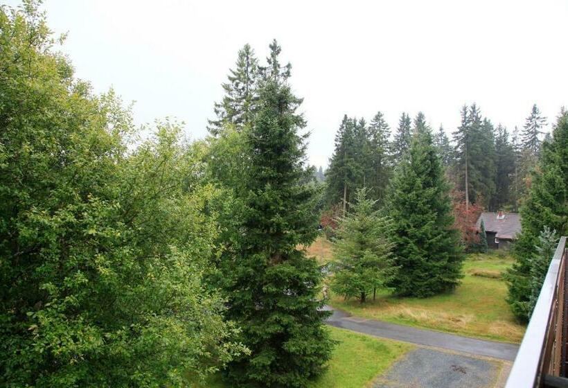 스탠다드 발코니 룸, Waldhotel Achtermannstor