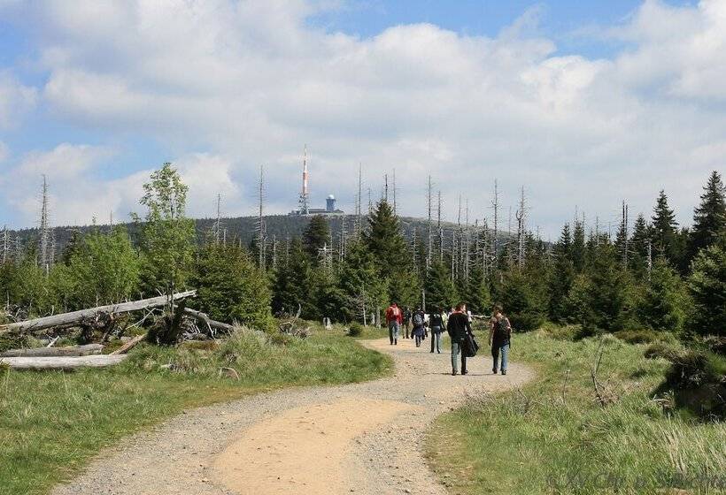 발코니 스탠다드 싱글 룸, Waldhotel Achtermannstor