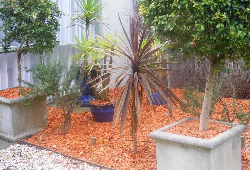 ハイドロマッサージバス付きスイート, Weeroona Bed And Breakfast