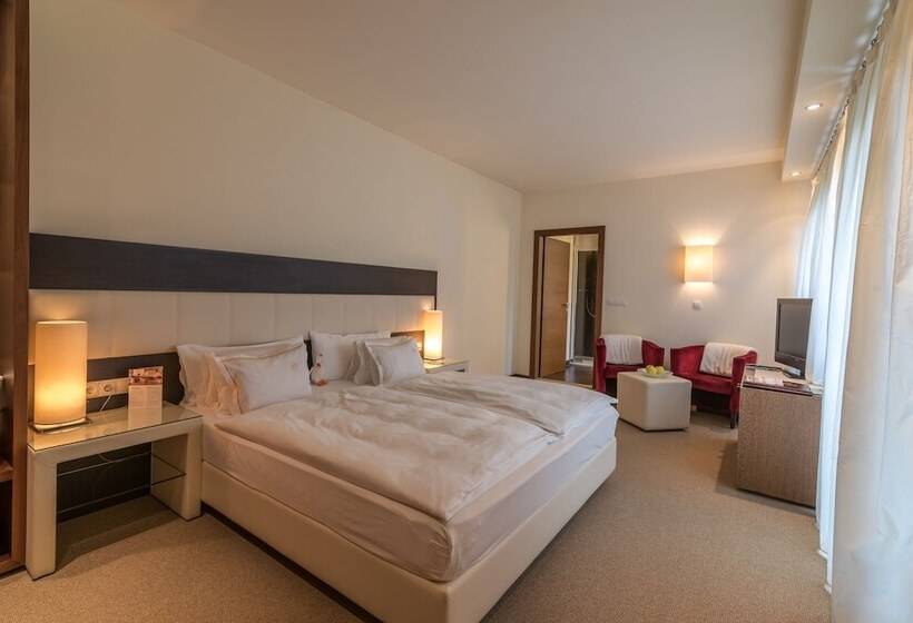 高级大房间, Ansitz Plantiz