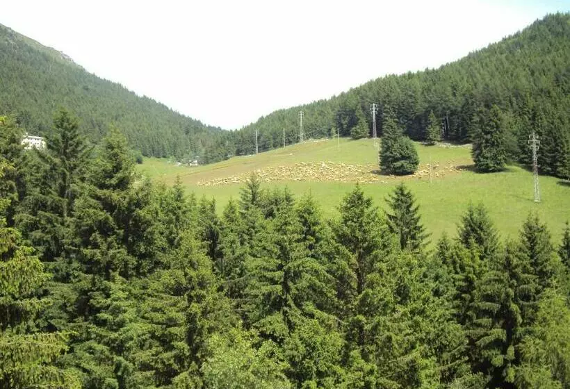 Standard-huone Vuoristonäkymä, Des Alpes
