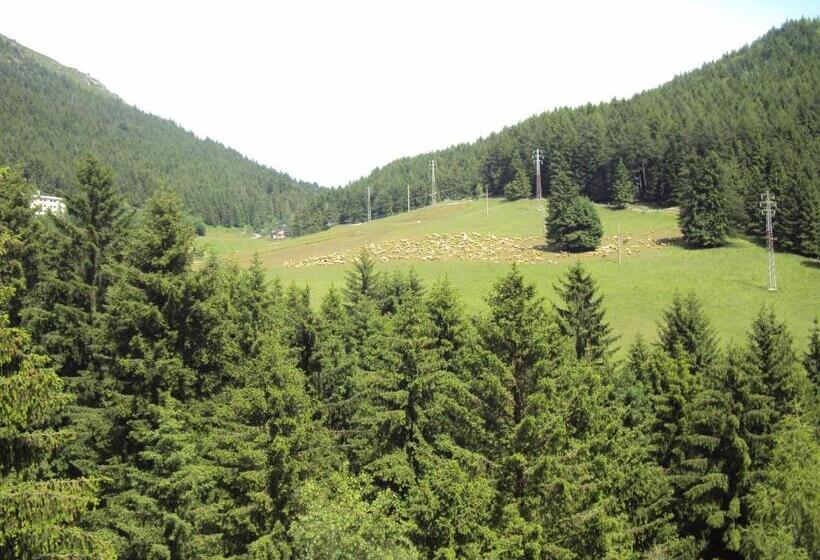 阁楼房, Des Alpes