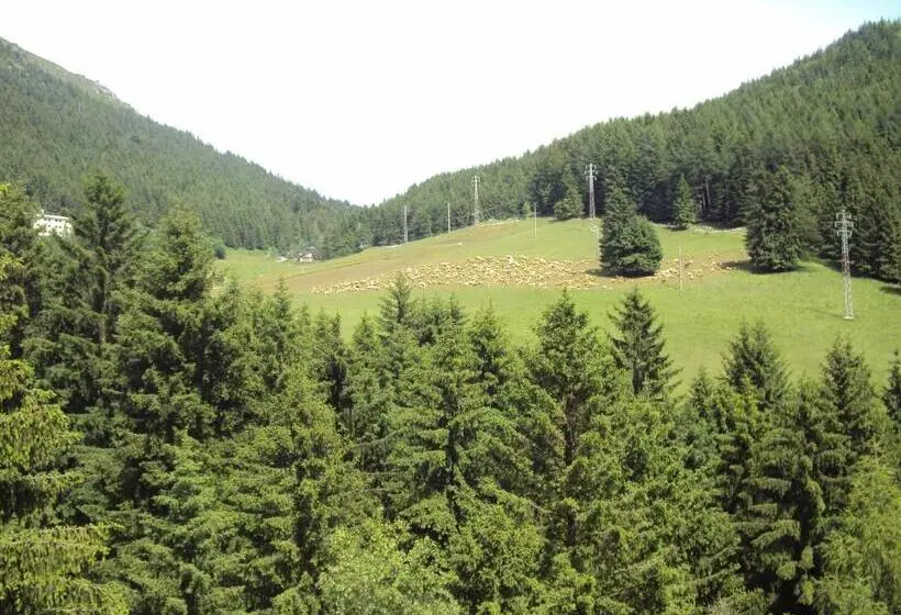 Ullakkohuone, Des Alpes
