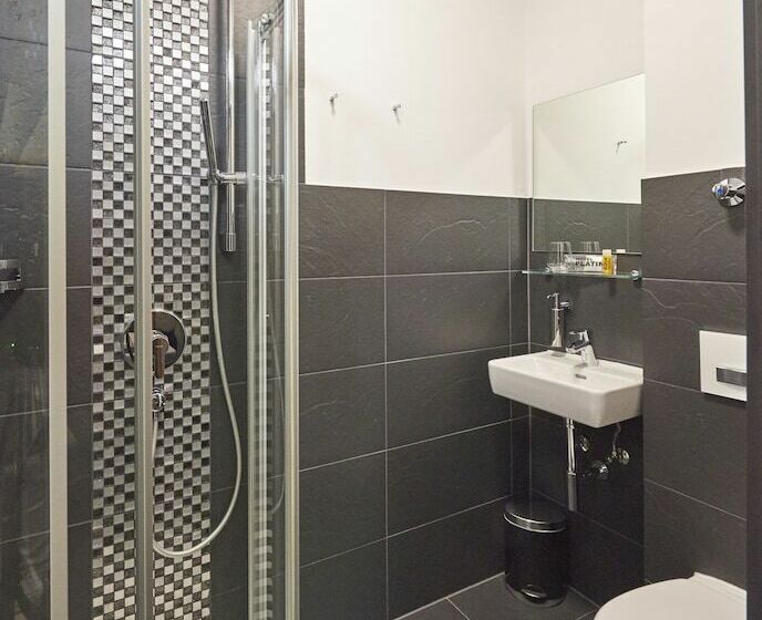 חדר סטנדרט יחיד, Platin