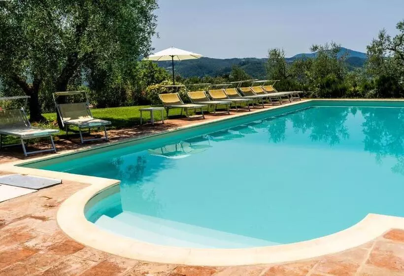 ドゥプレックスルーム, Poggio Agli Ulivi