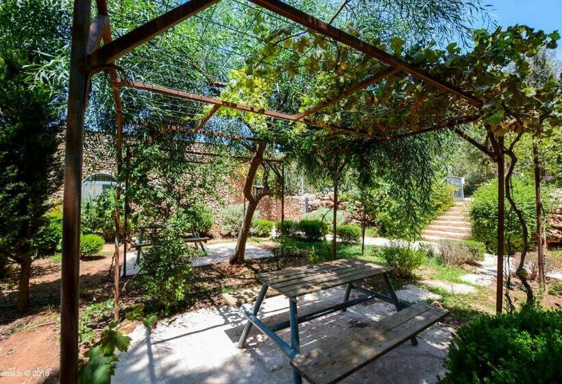 Suite, Tur Sinai Organic Farm Resort