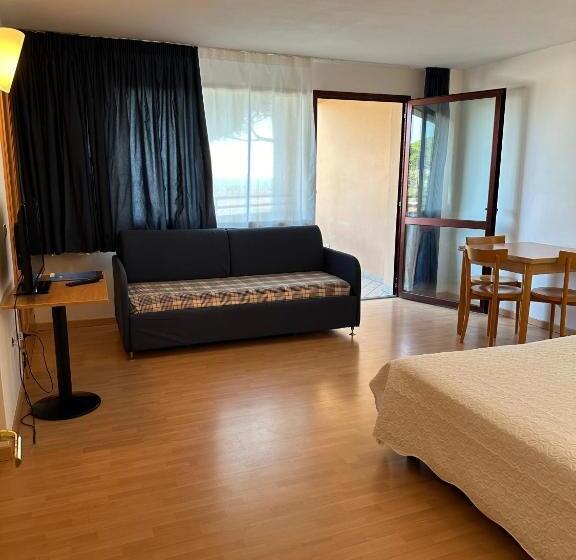 スタンダードスタジオ, Naut