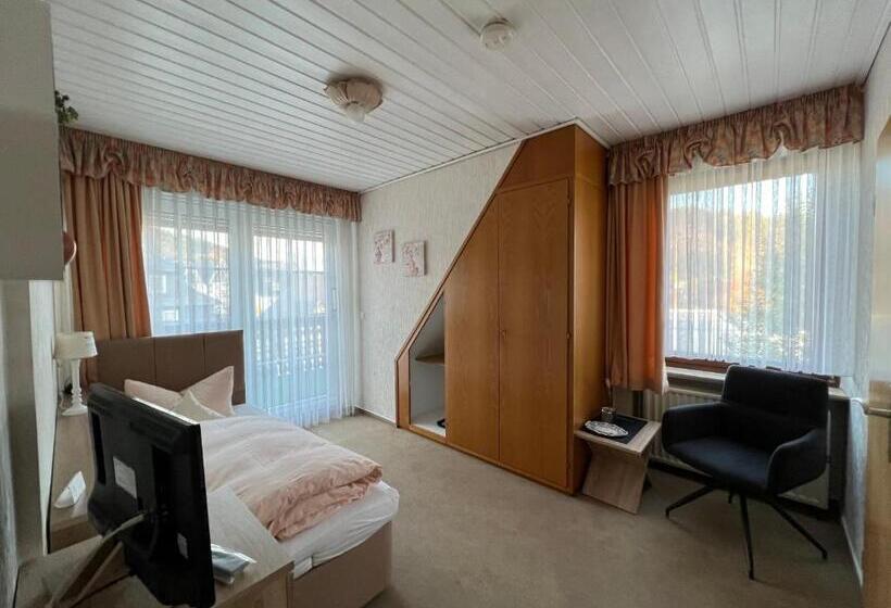Номер Стандарт Индивидуальный с Балконом, Sevda S Hotel Garni Weinforth