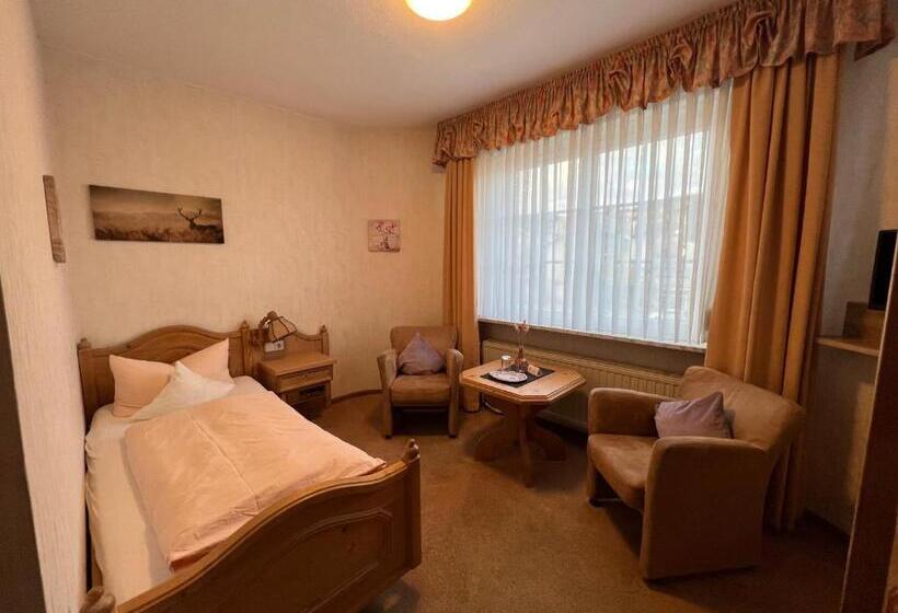 Номер Стандарт Индивидуальный, Sevda S Hotel Garni Weinforth