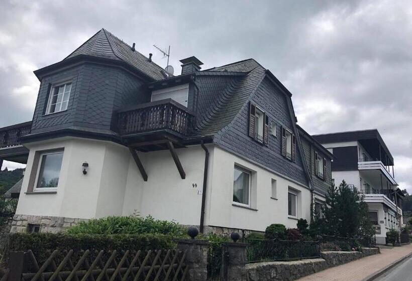 Номер Стандарт Индивидуальный с Балконом, Sevda S Hotel Garni Weinforth