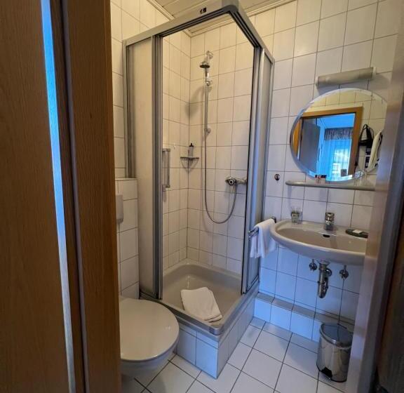 발코니 스탠다드 싱글 룸, Sevda S Hotel Garni Weinforth