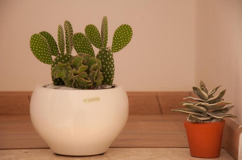 דירת חדר עם טרסה, Carpe Diem B&b E Case Vacanza