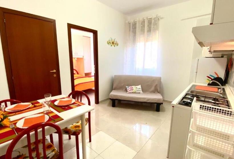 １ベッドルームアパートメント, Belvedere Home