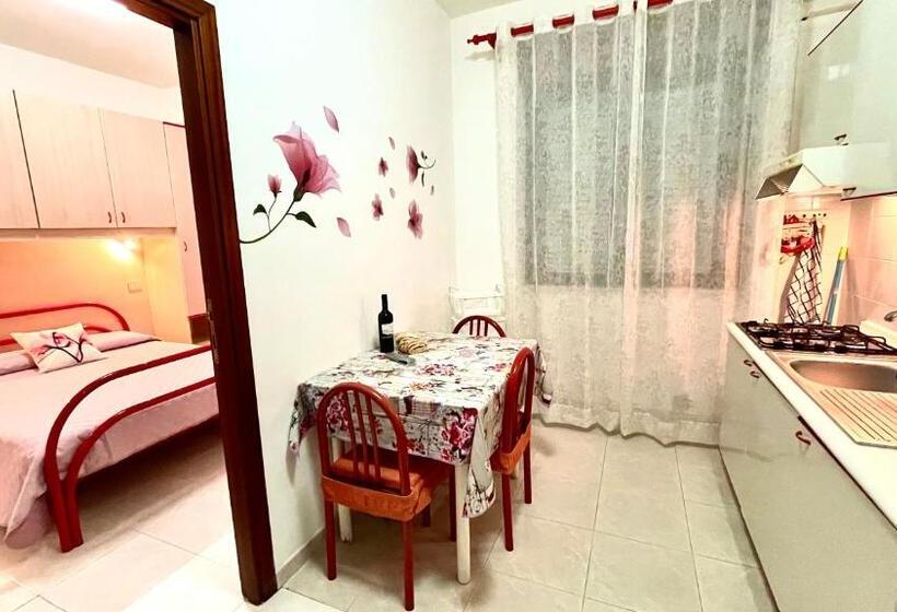 شقة غرفة واحدة, Belvedere Home