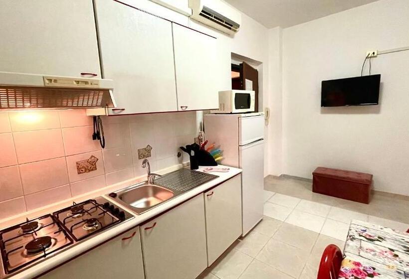 １ベッドルームアパートメント, Belvedere Home