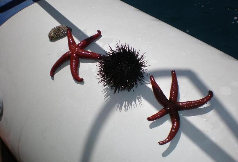 스탠다드 룸, Case D'anna