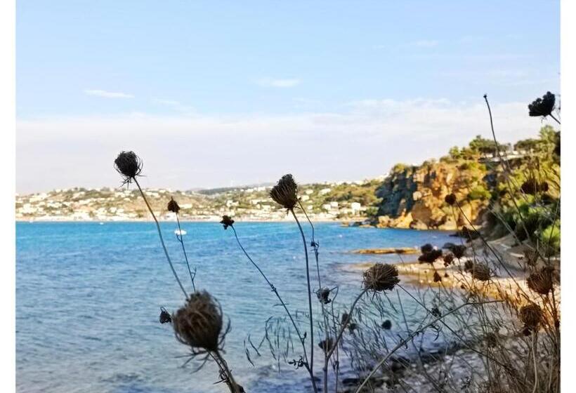 스탠다드 룸, Case D'anna