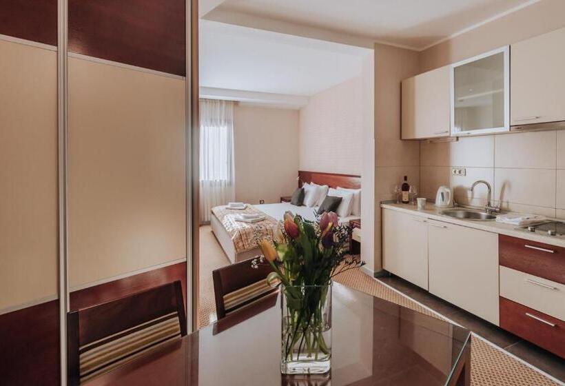 استودیو استاندارد با بالکن, Apartments Del Mar