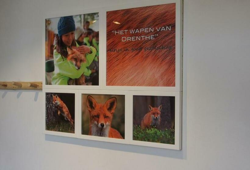 غرفة ديلوكس فردية, Het Wapen Van Drenthe