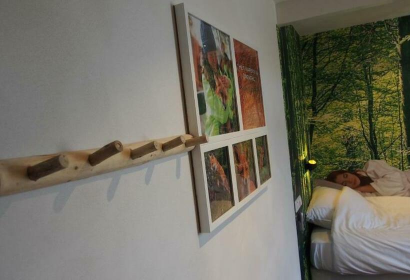 غرفة ديلوكس فردية, Het Wapen Van Drenthe