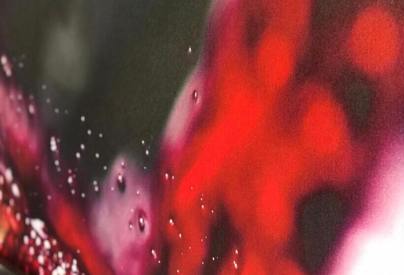 غرفة ديلوكس, Het Wapen Van Drenthe