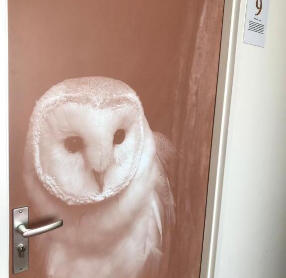 غرفة ديلوكس, Het Wapen Van Drenthe