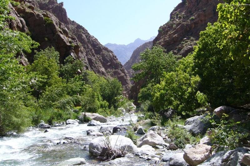 اتاق استاندارد چهار تخته, Le Coq Hardi