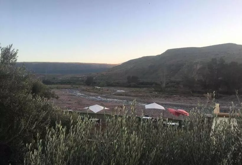اتاق اکونومی, Le Coq Hardi