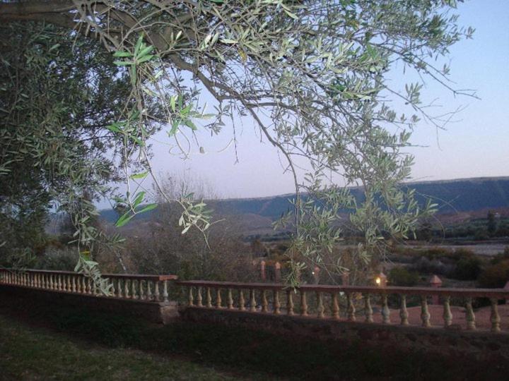 Четырехместный номер эконом класса с общей ванной комнатой, Le Coq Hardi