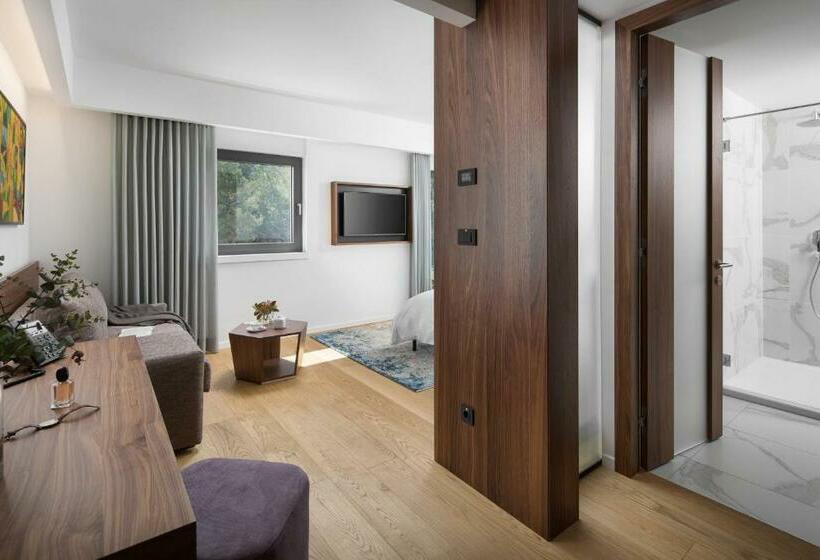 带大床的高级房间, Milan