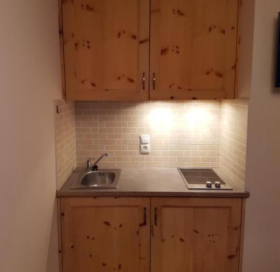 شقة غرفة واحدة, Residenze Sonnenschein Casa Rosa