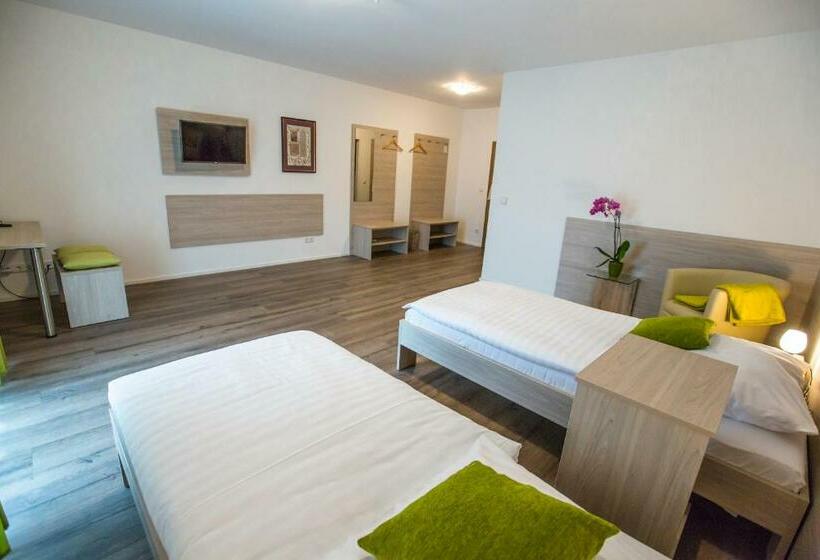 Номер Стандарт, Anna Hilden