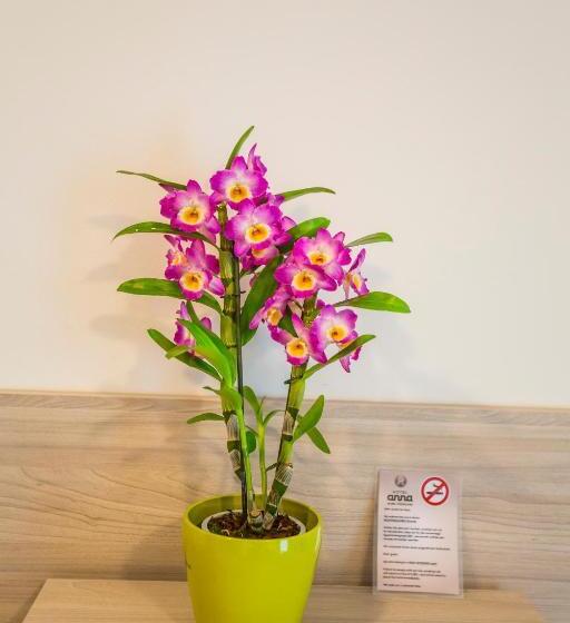 Семейный Номер, Anna Hilden