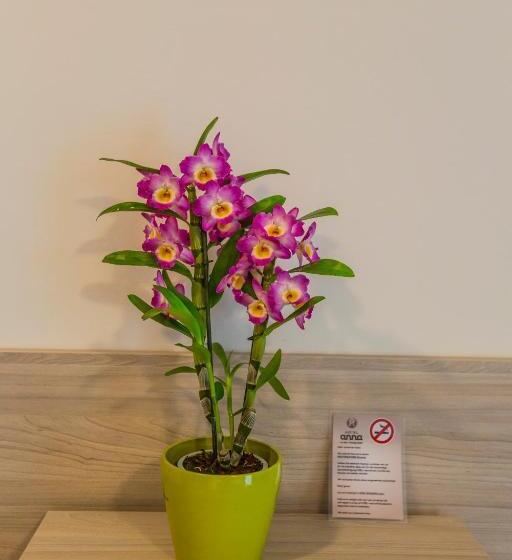 Номер Стандарт Индивидуальный, Anna Hilden