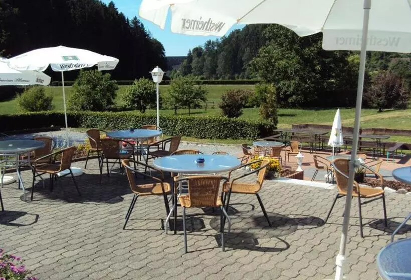 Standard Yhden Hengen Huone, Gasthof Zum Diemeltal