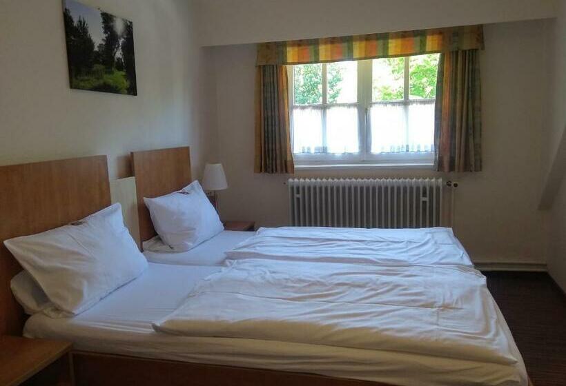 Номер Стандарт, Tepe's Gasthof