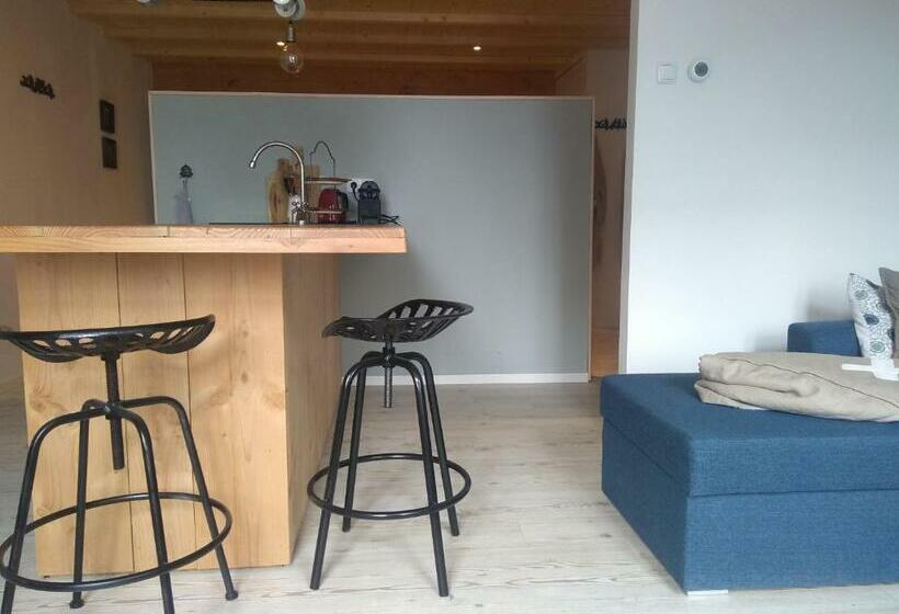 استودیوی استاندارد, B&b Ut Good