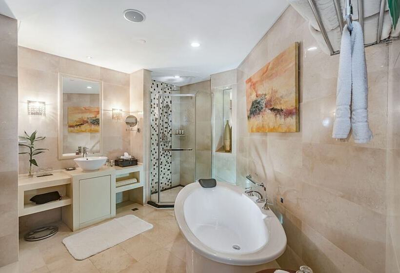 סוויטה אקזקיוטיב, Haikou Mingguang Shengyi