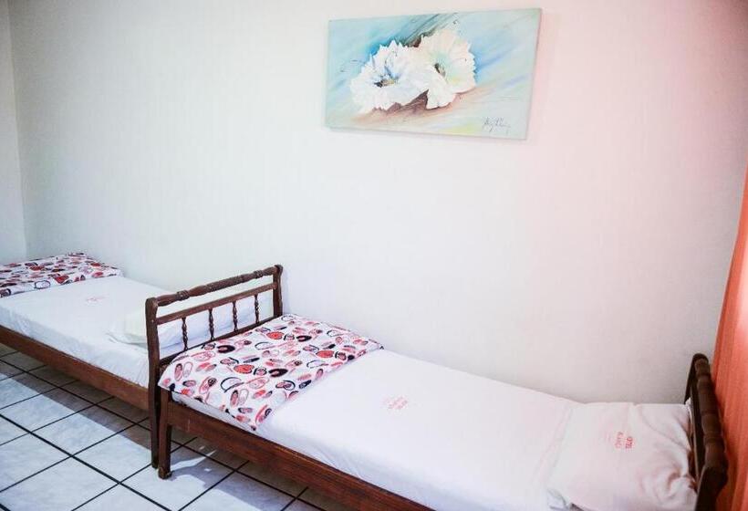 标准单人间, Aliança