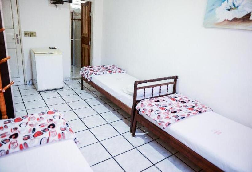 标准单人间, Aliança