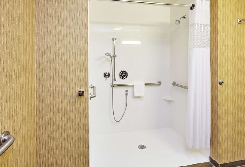 اتاق استاندارد برای معلولان, Hampton Inn & Suites Milwaukee/franklin