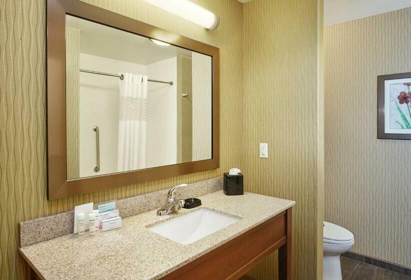 اتاق استاندارد با تخت بزرگ, Hampton Inn & Suites Milwaukee/franklin