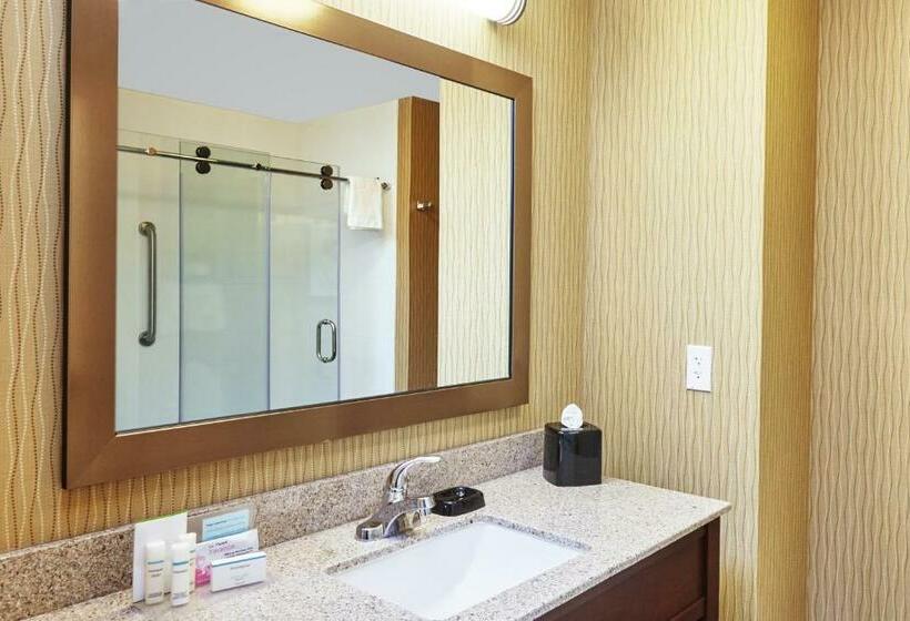 带大床的标准间, Hampton Inn & Suites Milwaukee/franklin