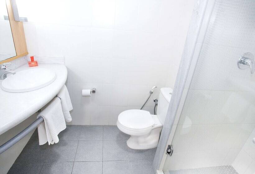 スタンダードルーム, Ibis Feira De Santana