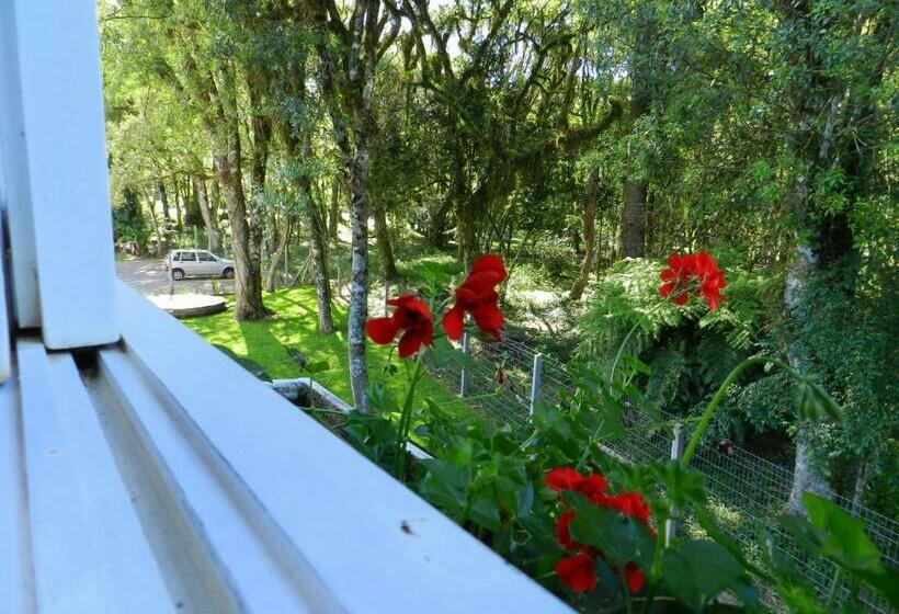 디럭스 룸, Pousada Jardim Azul